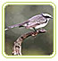Nagarhole Wildlife Sanctuaries