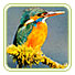 Bhemeeshwari Wildlife Sanctuaries