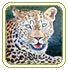 Biligiri Wildlife Sanctuaries