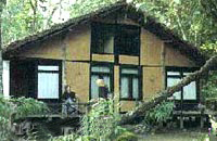bassi-fort