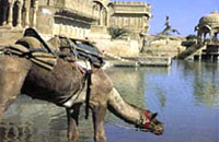 Gadsisar Lake