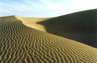 Sam sand Dunes, Jaisalmer Excursion